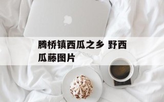 腾桥镇西瓜之乡 野西瓜藤图片