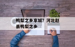 鸭梨之乡阜城？河北赵县鸭梨之乡