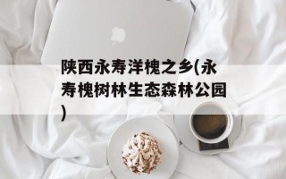 陕西永寿洋槐之乡(永寿槐树林生态森林公园)