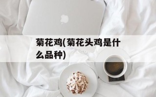 菊花鸡(菊花头鸡是什么品种)