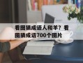 看图猜成语人和羊？看图猜成语700个图片
