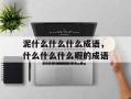泥什么什么什么成语，什么什么什么暇的成语