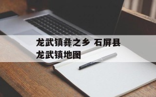 龙武镇彝之乡 石屏县龙武镇地图
