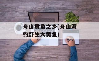 舟山黄鱼之乡(舟山海钓野生大黄鱼)