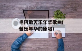 毛阿敏苦乐年华歌曲(苦乐年华的原唱)