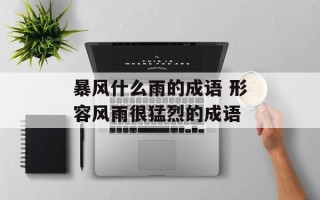 暴风什么雨的成语 形容风雨很猛烈的成语