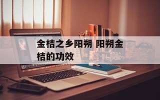 金桔之乡阳朔 阳朔金桔的功效