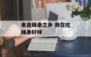 来自辣条之乡 我在吃辣条好辣