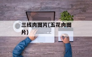 三线肉图片(五花肉图片)