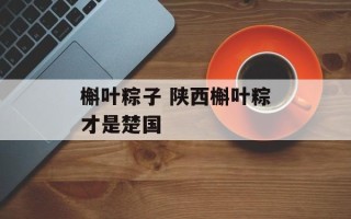 槲叶粽子 陕西槲叶粽才是楚国
