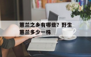 蕙兰之乡有哪些？野生蕙兰多少一株