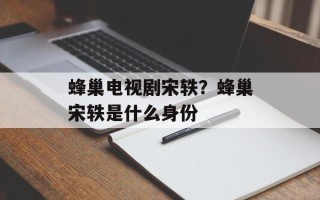 蜂巢电视剧宋轶？蜂巢宋轶是什么身份