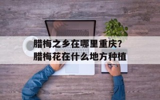 腊梅之乡在哪里重庆？腊梅花在什么地方种植