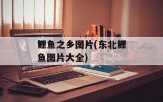 鲤鱼之乡图片(东北鲤鱼图片大全)