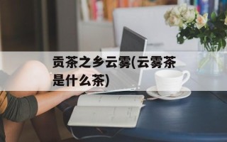 贡茶之乡云雾(云雾茶是什么茶)