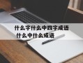 什么字什么中四字成语 什么中什么成语
