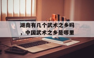 湖南有几个武术之乡吗，中国武术之乡是哪里