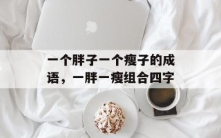 一个胖子一个瘦子的成语，一胖一瘦组合四字