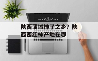 陕西蒲城柿子之乡？陕西西红柿产地在哪