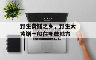 野生黄鳝之乡，野生大黄鳝一般在哪些地方