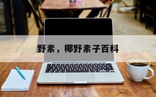 野素，椰野素子百科