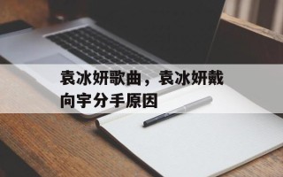 袁冰妍歌曲，袁冰妍戴向宇分手原因