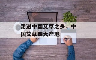 走进中国艾草之乡，中国艾草四大产地