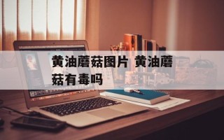 黄油蘑菇图片 黄油蘑菇有毒吗