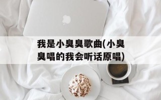 我是小臭臭歌曲(小臭臭唱的我会听话原唱)