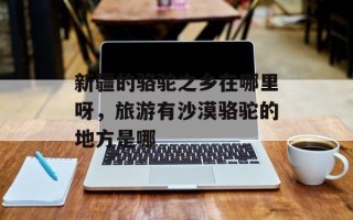 新疆的骆驼之乡在哪里呀，旅游有沙漠骆驼的地方是哪