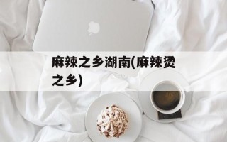 麻辣之乡湖南(麻辣烫之乡)