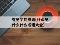 有见字的成语(什么见什么什么成语大全)