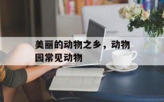 美丽的动物之乡，动物园常见动物