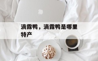 滴露鸭，滴露鸭是哪里特产
