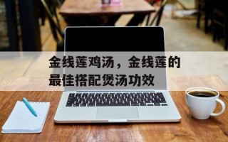 金线莲鸡汤，金线莲的最佳搭配煲汤功效