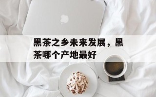 黑茶之乡未来发展，黑茶哪个产地最好