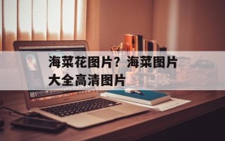 海菜花图片？海菜图片大全高清图片