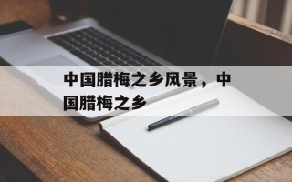 中国腊梅之乡风景，中国腊梅之乡