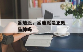 番茄派，番茄派是正规品牌吗