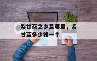 紫甘蓝之乡是哪里，紫甘蓝多少钱一个