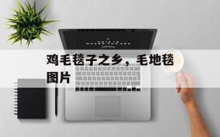 鸡毛毯子之乡，毛地毯图片