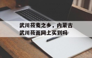武川莜麦之乡，内蒙古武川莜面网上买到吗