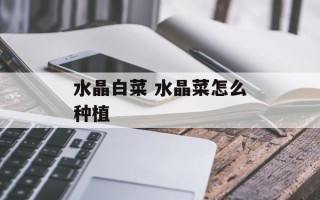 水晶白菜 水晶菜怎么种植
