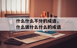 什么什么不分的成语，什么彼什么什么的成语