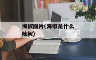 海椒图片(海椒是什么辣椒)