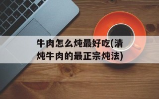 牛肉怎么炖最好吃(清炖牛肉的最正宗炖法)
