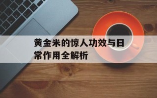 黄金米的惊人功效与日常作用全解析
