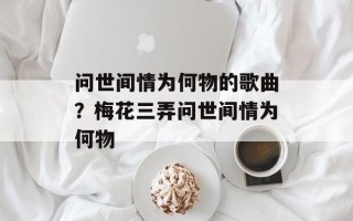 问世间情为何物的歌曲？梅花三弄问世间情为何物