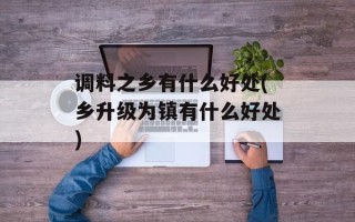 调料之乡有什么好处(乡升级为镇有什么好处)