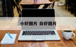 小虾图片 白虾图片